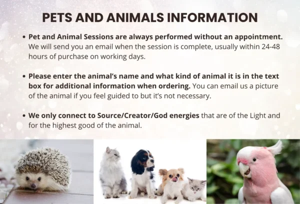 Unconditional Love Session for Animals - Image 2