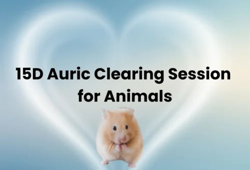 15D Auric Clearing Session for Animals