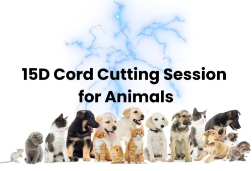 15D Cord Cutting Session for Animals