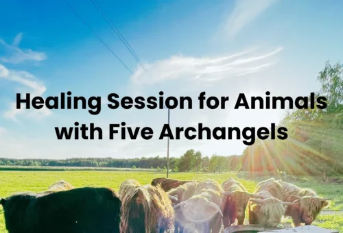 Healing Session for Animals with Five Archangels