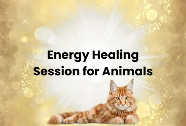 Energy Healing Session for Animals