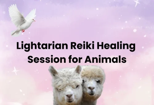 Lightarian Reiki™ Healing Session for Animals