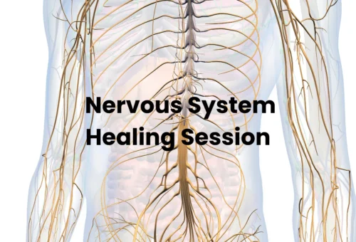 Nervous System Healing Session