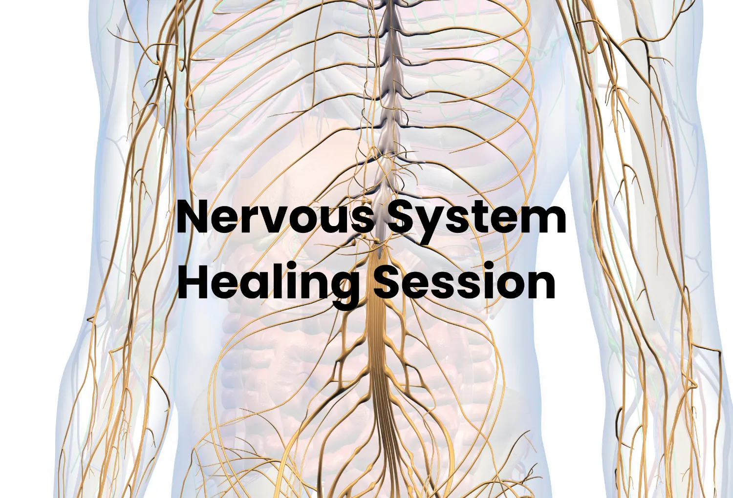 Nervous System Healing Session